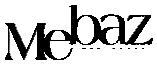 Government Partner 1